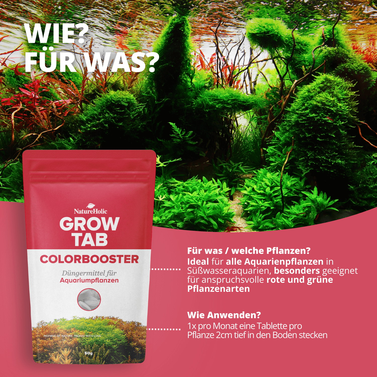Packung Grow Tab Colorbooster vor grünem Aquascape